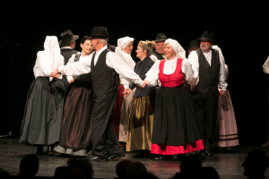 CERKNICA PRAZNIK KULTURE 2016 - Valter Leban-6502